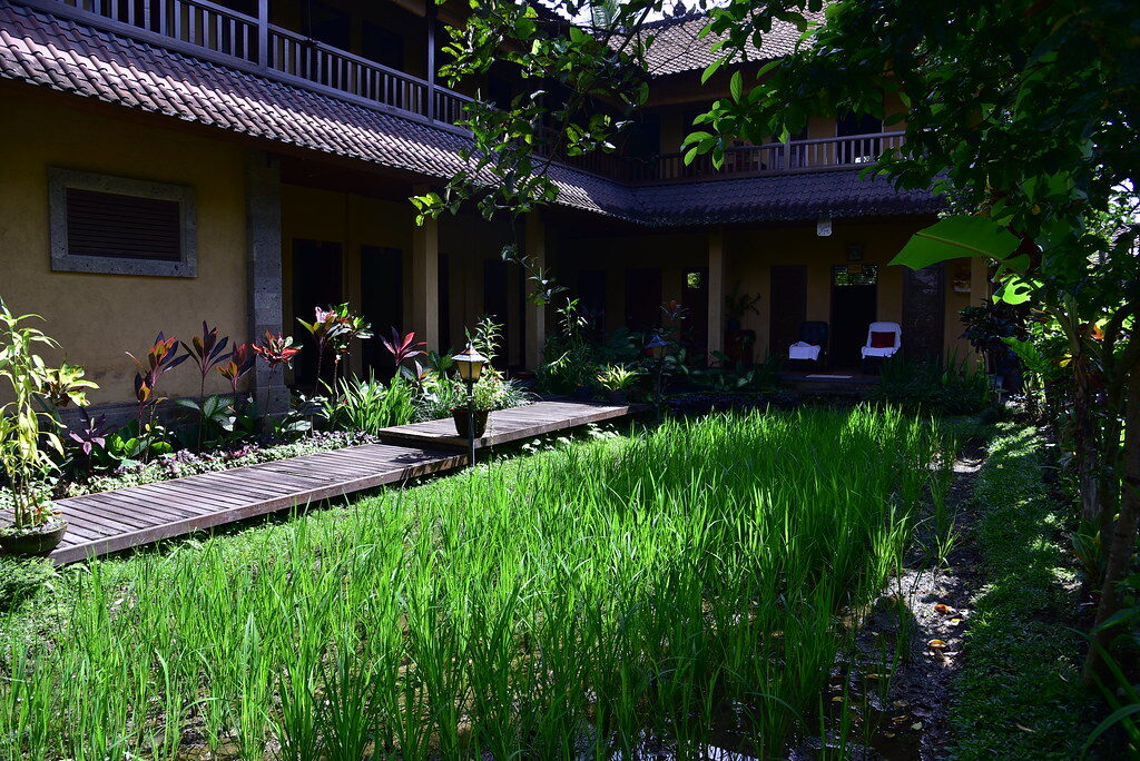 Balinese spa massage treatment